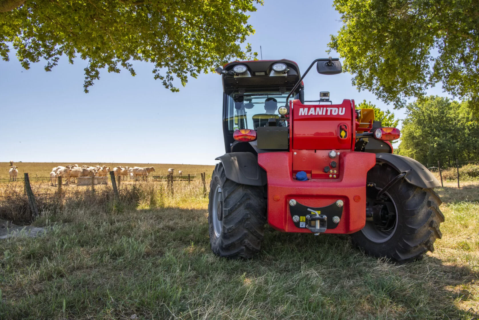 Application Agriculture Telehandler Mlt 630 Manitou 002 - Volcke sale and rental machinery